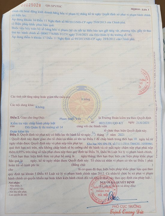 cửa lưới chống muỗi giả